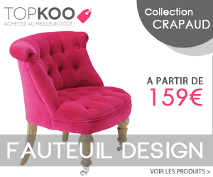 Renaissance d'un institut aéronautique français grâce à la formation d'une soixantaine de pilotes algériens