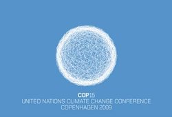 COP15: L'aviation internationale face aux changements climatiques