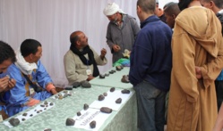 Maroc: Première expo-bourse aux Météorites à M’Hamid El Ghizlane