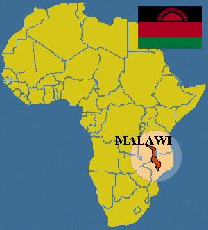 Le Malawi se sépare de l'avion présidentiel pour lutter contre la faim dans le pays