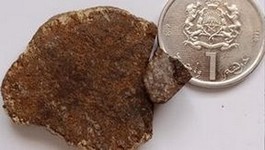 Meteorite North West Africa (NWA) 12606 - X-mol.com