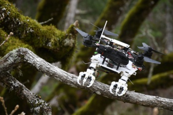 Des ingénieurs de l'université de Stanford conçoivent un drone capable de s'agripper aux objets