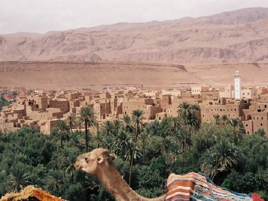 Royal Air Maroc: Une meilleure offre sur Ouarzazate et Zagora
