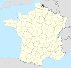 Air Algérie: Sortie de piste à l'aéroport international de Lille-Lesquin en France Air Algérie: Sortie de piste à l'aéroport international de Lille-Lesquin en France