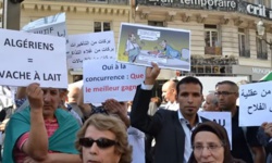Air Algérie annule les taxes pour changement de réservation pour calmer la colère de ses clients