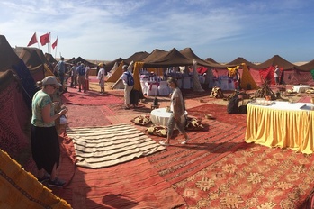 le projet pédagogique initié en 2024 le projet pédagogique initié en 2024