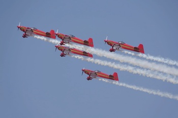 Patrouille la marche verte