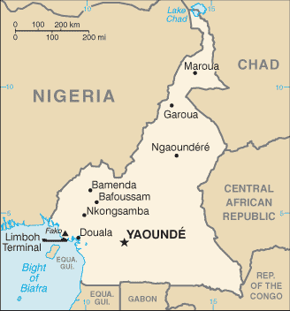 Le Cameroun met à niveau l'aéroport Maroua Salak pour en faire un aéroport international