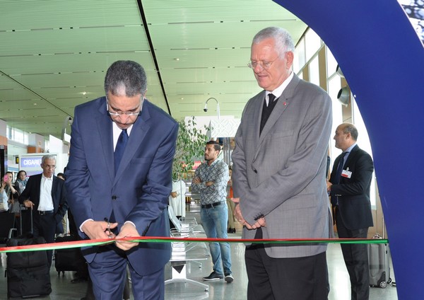 Royal Air Maroc: Une nouvelle liaison Casablanca-Doha à raison de 3 fréquences par semaine