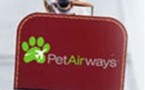 Pet Airways: Une compagnie pour les animaux de compagnie