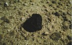Un météorite tombé au Maroc précise l'âge du système solaire