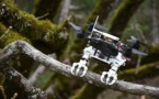 Des ingénieurs de l'université de Stanford conçoivent un drone capable de s'agripper aux objets