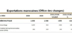 Maroc : Exportations aéronautiques en hausse de 23% en Janvier 2024 selon l'Office des Changes