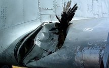 Une convention pour lutter contre le risque aviaire