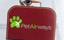 Pet Airways: Une compagnie pour les animaux de compagnie