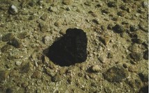 Un météorite tombé au Maroc précise l'âge du système solaire