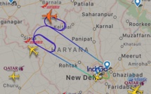 Le vol 105 d'Air India fait demi-tour après la découverte d'une chauve-souris à bord