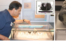 Emission d’un timbre-poste à l’effigie d’une météorite marocaine