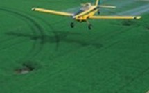 Un nouveau monoplace exposé par ECA en Algérie