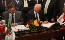 Air Algérie signe un accord de partenariat et de code share avec Turkish Airlines