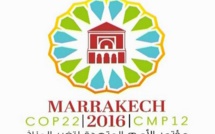 Royal Air Maroc désignée transporteur Officiel Exclusif de la COP22